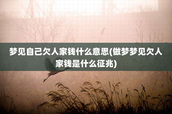 梦见自己欠人家钱什么意思(做梦梦见欠人家钱是什么征兆)