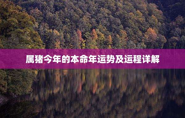 属猪今年的本命年运势及运程详解