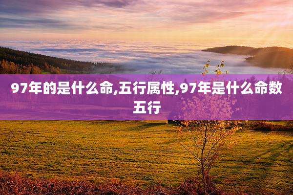 97年的是什么命,五行属性,97年是什么命数五行