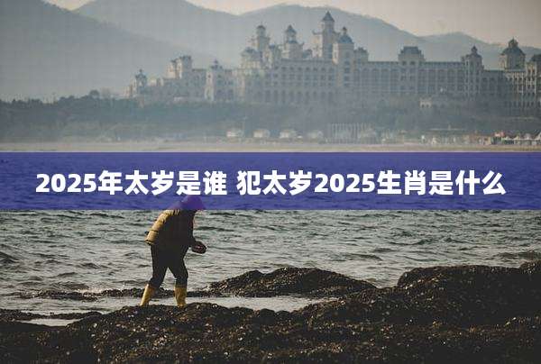 2025年太岁是谁 犯太岁2025生肖是什么