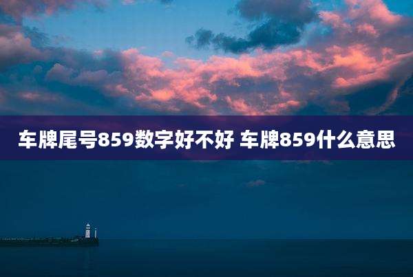 车牌尾号859数字好不好 车牌859什么意思