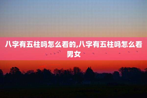 八字有五柱吗怎么看的,八字有五柱吗怎么看男女