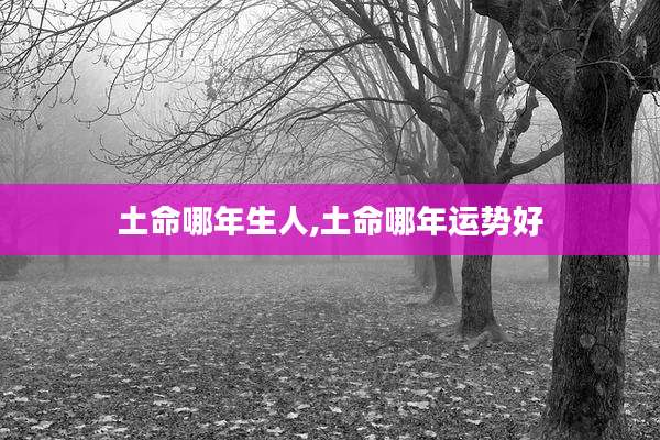 土命哪年生人,土命哪年运势好