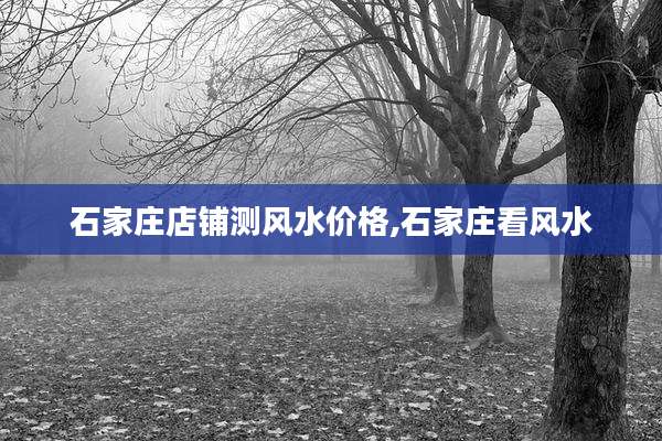 石家庄店铺测风水价格,石家庄看风水