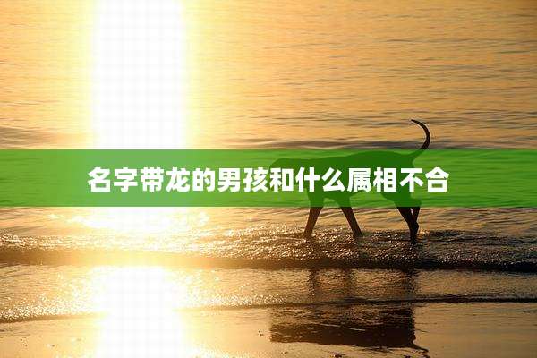 名字带龙的男孩和什么属相不合