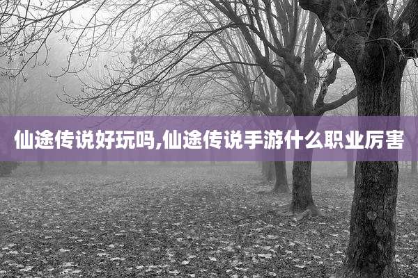 仙途传说好玩吗,仙途传说手游什么职业厉害