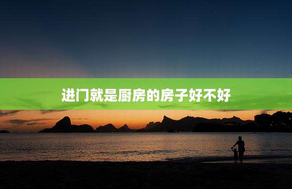 进门就是厨房的房子好不好