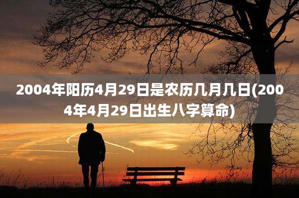 2004年阳历4月29日是农历几月几日(2004年4月29日出生八字算命)