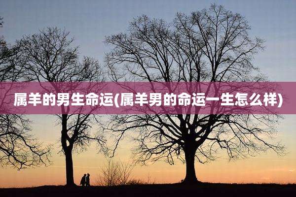 属羊的男生命运(属羊男的命运一生怎么样)