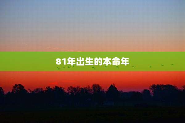 81年出生的本命年