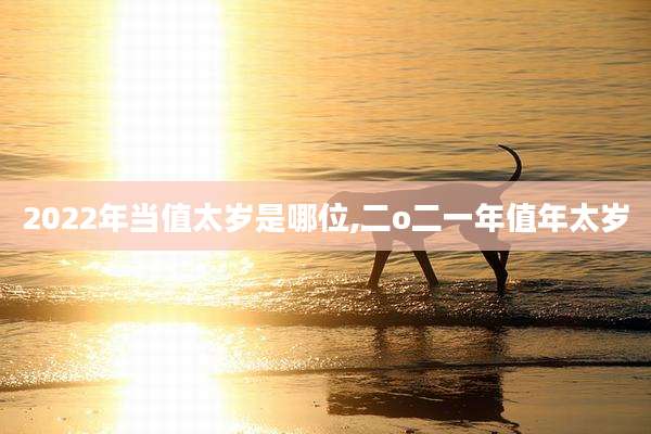 2022年当值太岁是哪位,二o二一年值年太岁