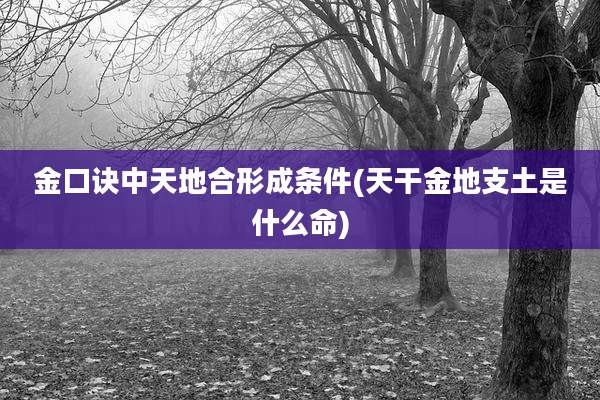 金口诀中天地合形成条件(天干金地支土是什么命)