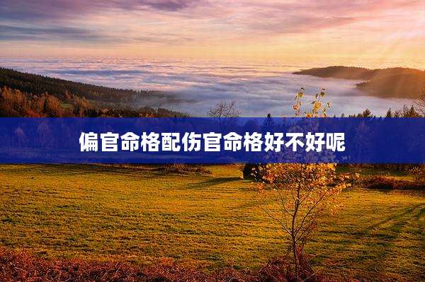 偏官命格配伤官命格好不好呢