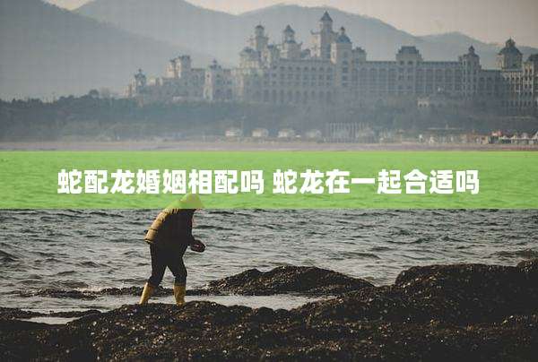 蛇配龙婚姻相配吗 蛇龙在一起合适吗