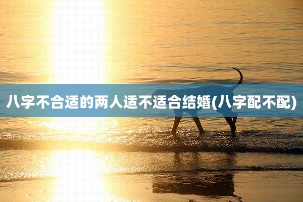 八字不合适的两人适不适合结婚(八字配不配)