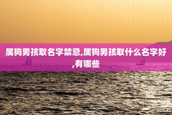 属狗男孩取名字禁忌,属狗男孩取什么名字好,有哪些
