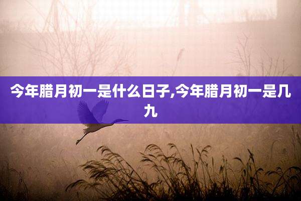今年腊月初一是什么日子,今年腊月初一是几九