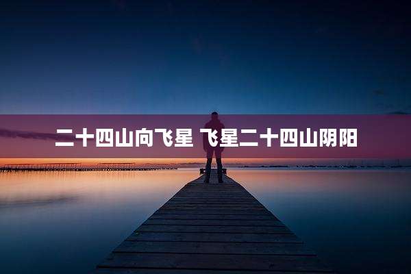 二十四山向飞星 飞星二十四山阴阳