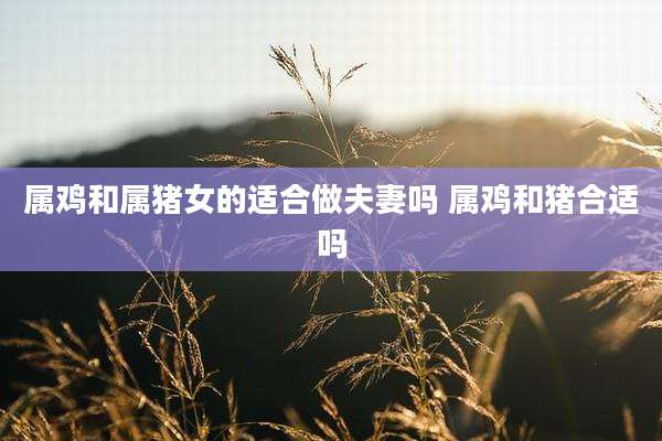 属鸡和属猪女的适合做夫妻吗 属鸡和猪合适吗