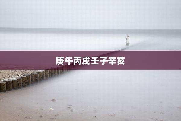 庚午丙戌壬子辛亥