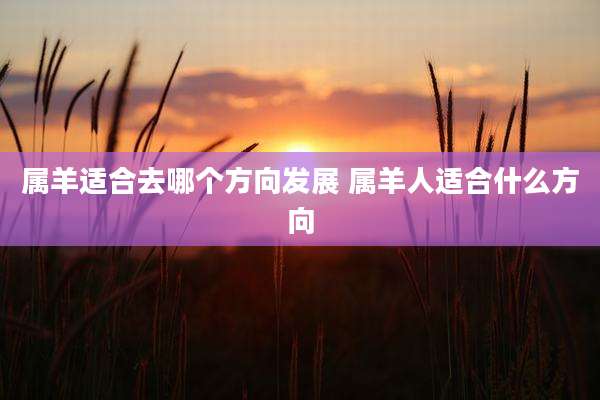 属羊适合去哪个方向发展 属羊人适合什么方向