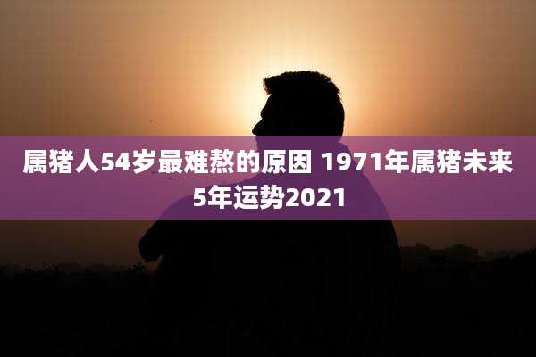 属猪人54岁最难熬的原因 1971年属猪未来5年运势2021