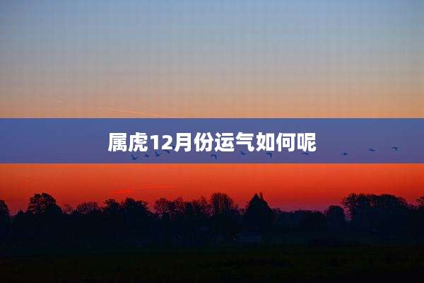 属虎12月份运气如何呢