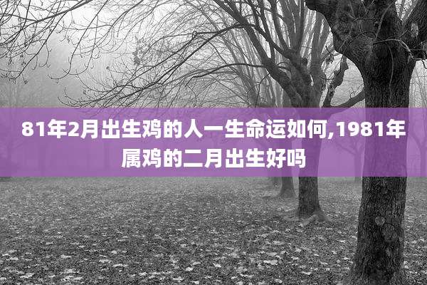 81年2月出生鸡的人一生命运如何,1981年属鸡的二月出生好吗