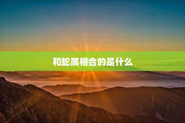 和蛇属相合的是什么
