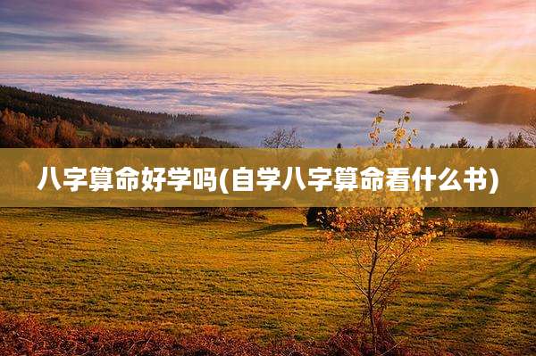 八字算命好学吗(自学八字算命看什么书)