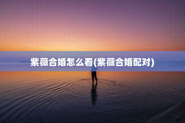 紫薇合婚怎么看(紫薇合婚配对)
