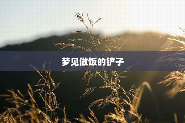 梦见做饭的铲子