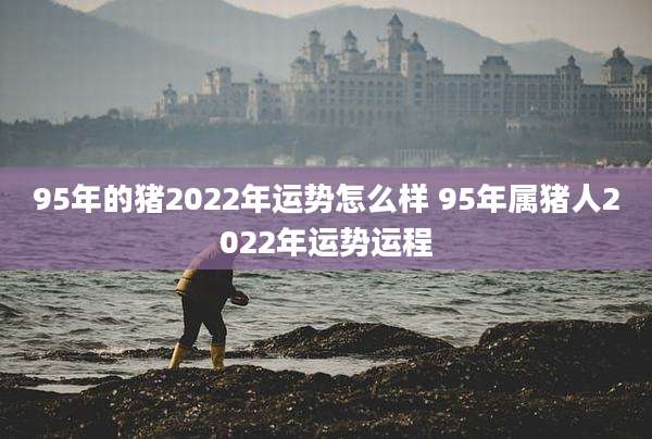 95年的猪2022年运势怎么样 95年属猪人2022年运势运程
