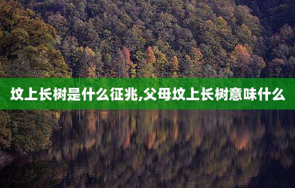 坟上长树是什么征兆,父母坟上长树意味什么