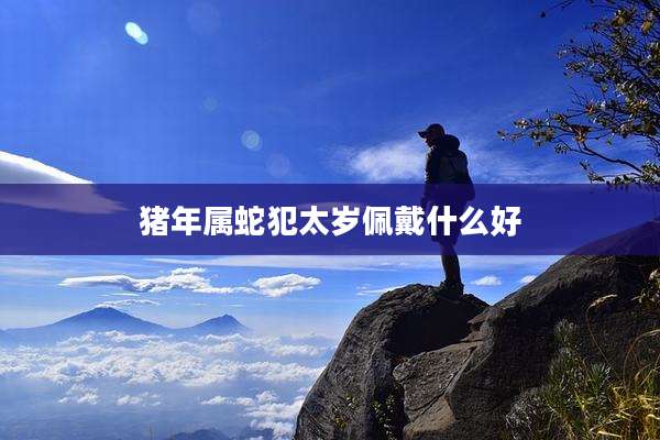 猪年属蛇犯太岁佩戴什么好