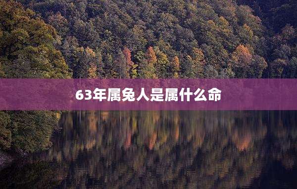 63年属兔人是属什么命