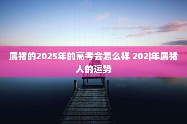 属猪的2025年的高考会怎么样 202|年属猪人的运势