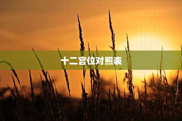 十二宫位对照表