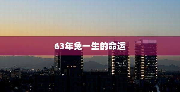 63年兔一生的命运