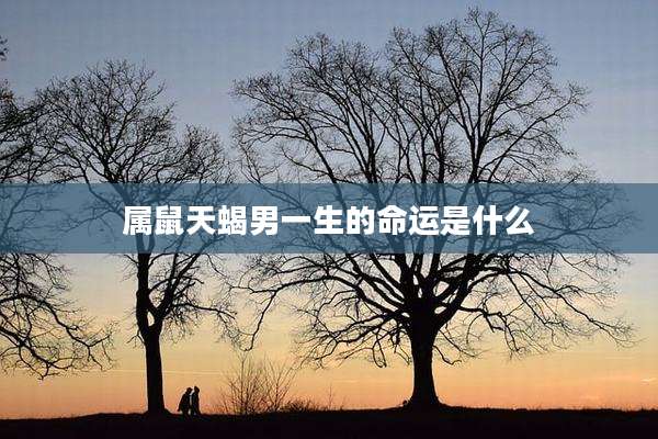 属鼠天蝎男一生的命运是什么