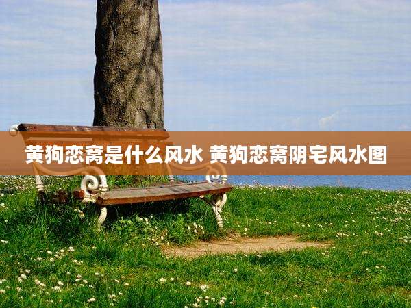 黄狗恋窝是什么风水 黄狗恋窝阴宅风水图