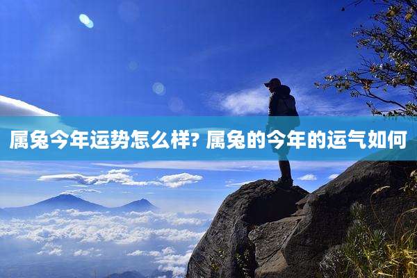 属兔今年运势怎么样? 属兔的今年的运气如何