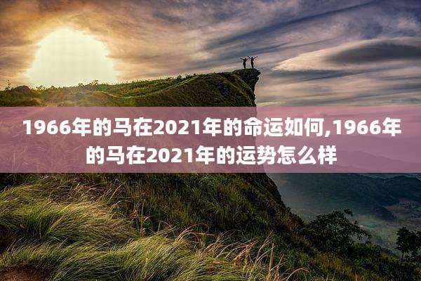 1966年的马在2021年的命运如何,1966年的马在2021年的运势怎么样