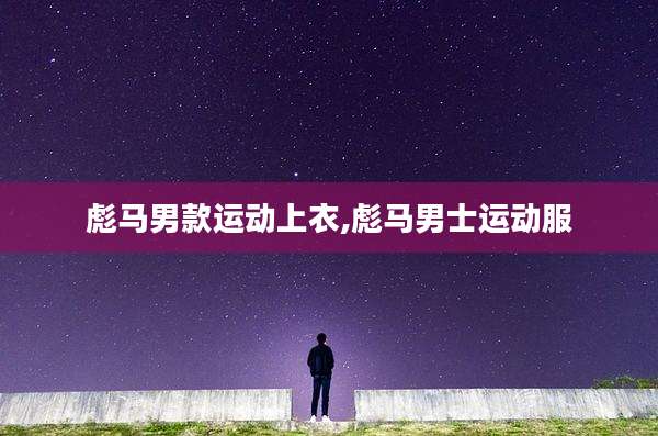 彪马男款运动上衣,彪马男士运动服