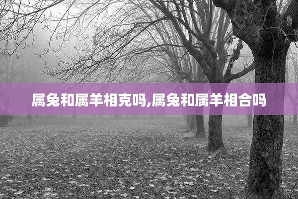 属兔和属羊相克吗,属兔和属羊相合吗