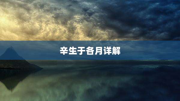 辛生于各月详解