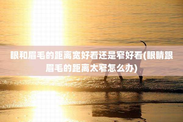 眼和眉毛的距离宽好看还是窄好看(眼睛跟眉毛的距离太窄怎么办)