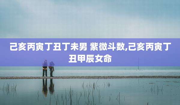 己亥丙寅丁丑丁未男 紫微斗数,己亥丙寅丁丑甲辰女命