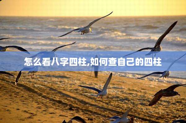 怎么看八字四柱,如何查自己的四柱