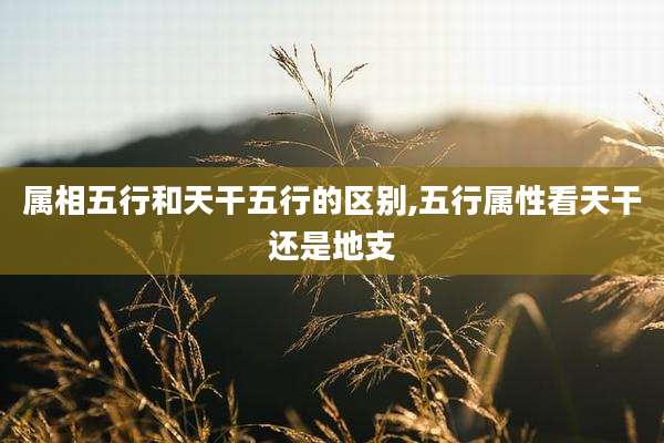 属相五行和天干五行的区别,五行属性看天干还是地支